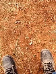 Rahul_India — Stripchat stream photo (Mar 2026)