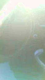 slipbagnato — Cam4 stream photo (Jan 2025)