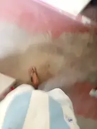 novinhorelampago — Stripchat stream photo (Aug 2026)