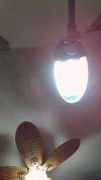 tunene25hot — Cam4 profile photo