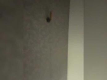 Pureee — bongacams