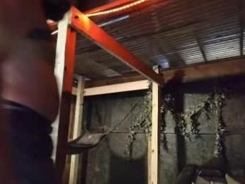 hardworkertn — Chaturbate stream photo (Mar 2026)