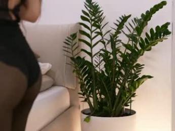 dovia — Chaturbate stream photo (Jul 2026)