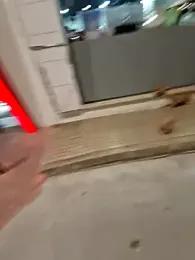 DoroJelinek66 — Stripchat stream photo (Jan 2026)