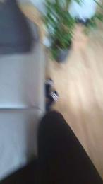 Zaninha — Cam4 stream photo (Jun 2026)