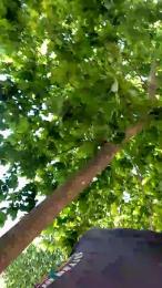 trigue2323 — Cam4 stream photo (May 2026)