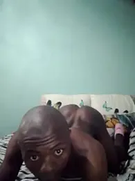 DigCrok — stripchat