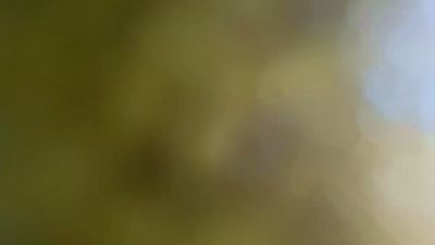 BIGONEPD26 — modelo de webcam en línea en cam4