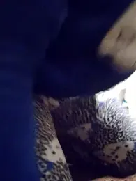 Sexlove1xo — Stripchat stream photo (Apr 2026)