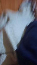 orsoita26 — Cam4 stream photo (Mar 2026)