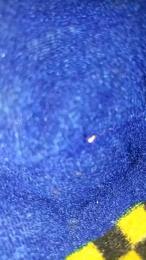 Lechero1233 — Cam4 stream photo (Mar 2026)