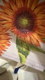 koko094 — Cam4 profile photo