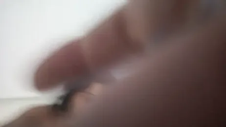 BellJS — Stripchat stream photo (Jan 2026)