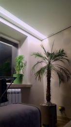 VibeMeHard — Cam4 stream photo (Sep 2026)