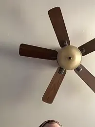 QueenNuttCollector — Stripchat stream photo (Apr 2026)