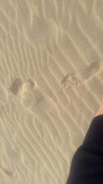 Zeigegeiler69 — Cam4 profile photo