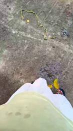 Exoticboy24 — Cam4 stream photo (Apr 2026)