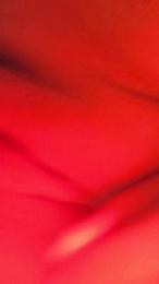 Monit4 — modelo de webcam en línea en cam4