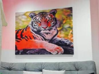 dante_adamss — Chaturbate stream photo (Feb 2026)