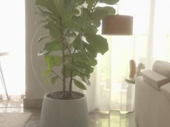 emma_lu1 — Chaturbate recorded stream image, 20.05.2025 17:30