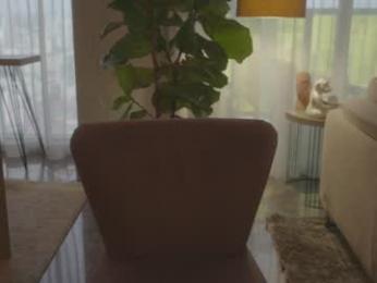 emma_lu1 — Chaturbate recorded stream image, 29.05.2025 19:40