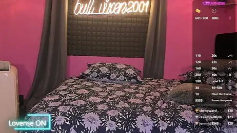 bull_vixen2001 — Stripchat recorded stream image, 03.06.2025 08:00
