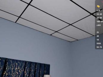 Gisell-Montoy — Bongacams recorded stream image, 11.06.2025 20:20