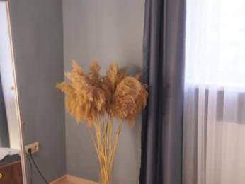 bellacle — Chaturbate recorded stream image, 26.06.2025 08:30