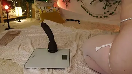 ScarletBlaze — Stripchat recorded stream image, 26.06.2025 18:10