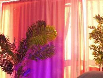 ArtTeasee — Bongacams recorded stream image, 12.02.2025 10:30