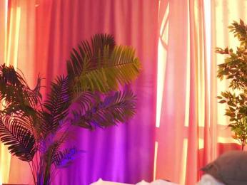 ArtTeasee — Bongacams recorded stream image, 12.02.2025 10:30