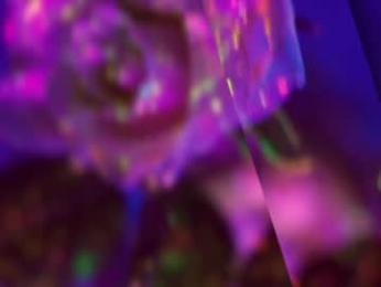 heybanan — Chaturbate recorded stream image, 29.07.2025 16:40