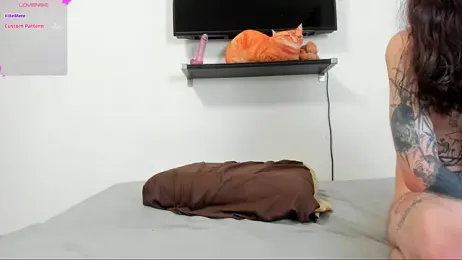ravenousbiter — Stripchat recorded stream image, 16.08.2025 16:10