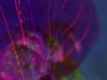 heybanan — Chaturbate recorded stream image, 21.08.2025 17:30