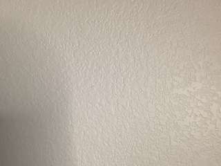 t1ger — Camsoda recorded stream image, 18.02.2025 06:30
