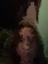 -AngelAri- — Stripchat recorded stream image, 18.02.2025 21:00