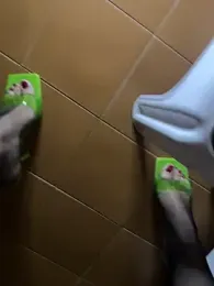 Wet-Pussycat — Stripchat recorded stream image, 18.02.2025 23:00