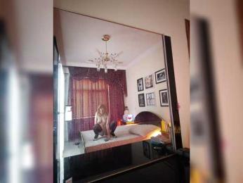 Kityteen — Bongacams recorded stream image, 03.10.2025 00:40