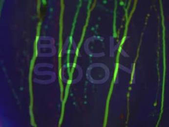 heybanan — Chaturbate recorded stream image, 20.02.2025 07:10