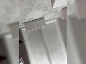 SallyeLeins — Bongacams recorded stream screenshot (20 Feb 2025)