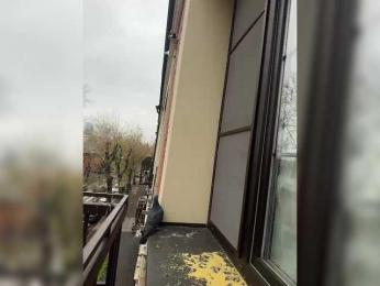 Tvoyasamka77 — Bongacams recorded stream image, 22.10.2025 03:20