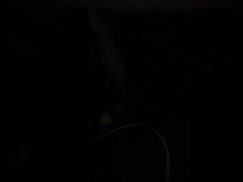 SallyeLeins — Bongacams recorded stream screenshot (25 Oct 2025)