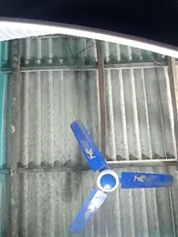 hotbaby_5 — Stripchat recorded stream screenshot (11 Nov 2025)