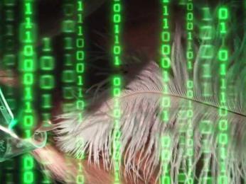 ALVUWKA — Bongacams recorded stream screenshot (27 Nov 2025)