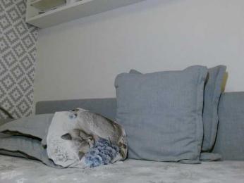 albinochka888 — Bongacams recorded stream image, 01.12.2025 21:00