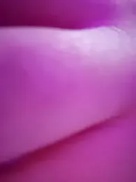 _arabica_ — Stripchat recorded stream screenshot (02 Dec 2025)