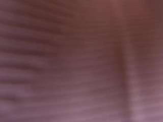 mssburbuja — Camsoda recorded stream image, 10.12.2025 03:00