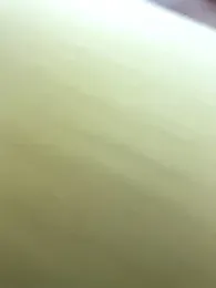 kim_monti — Stripchat recorded stream screenshot (10 Dec 2025)