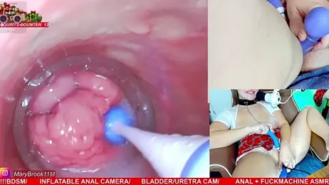 MaryBrook1 — Stripchat recorded stream screenshot (17 Dec 2025)