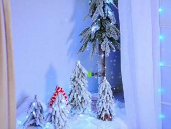 -ANN — Bongacams recorded stream image, 24.12.2025 09:50